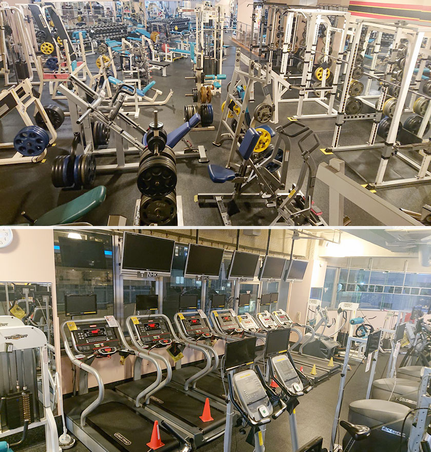 ゴールドジム湘南神奈川